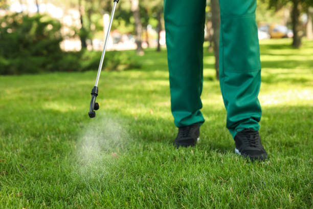 Insect Control in Lauderdale Lakes, WI