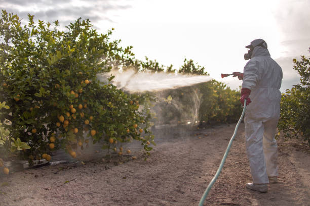 Trusted Lauderdale Lakes, WI Pest Control Experts