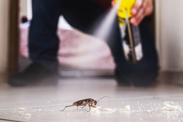 Best Bed Bug Extermination  in Lauderdale Lakes, WI