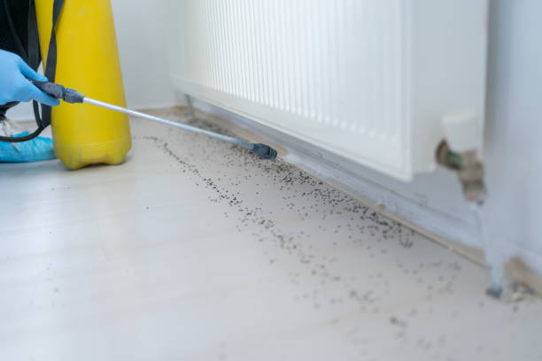 Best Rat Extermination Near Me  in Lauderdale Lakes, WI