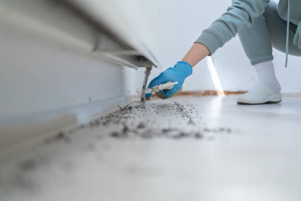 Pest Prevention Services in Lauderdale Lakes, WI